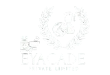 white_logo-removebg-preview